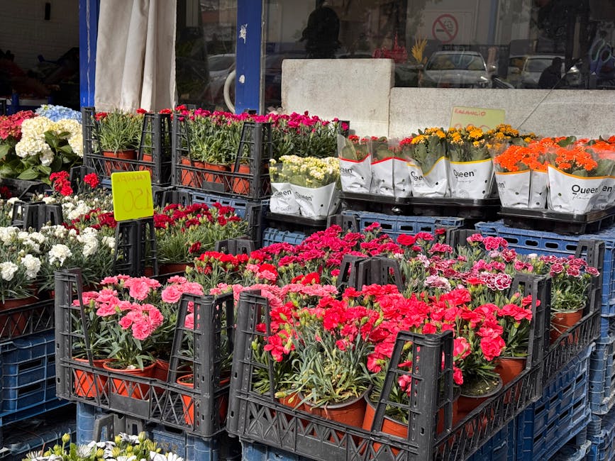 A display of vibrant, fresh flowering plants arranged in black plastic crates outside a flower shop near Brent Cross Shopping Centre. The arrangement includes bright pink and red carnations in terraco
