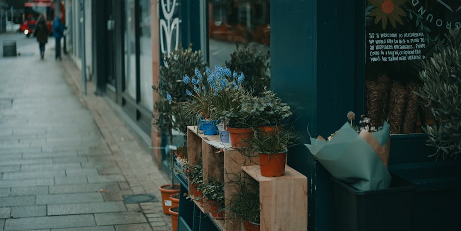 A display of potted flowering plants arranged on wooden shelves outside a shop, featuring blue, white, and green foliage with some small blossoms, placed in terracotta and ceramic pots. The arrangemen